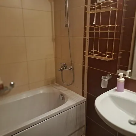 Lux аpartment Pirin View 3star בנסקו